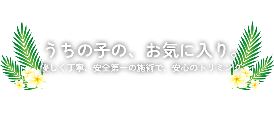 うちの子の、お気に入り。優しく丁寧、安全第一の施術で、安心のトリミング