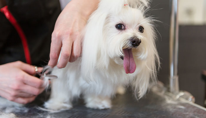 トリミングメニュー